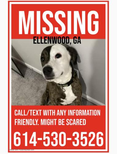 Lost Male Dog last seen chester ln, Ellenwood, GA 30294