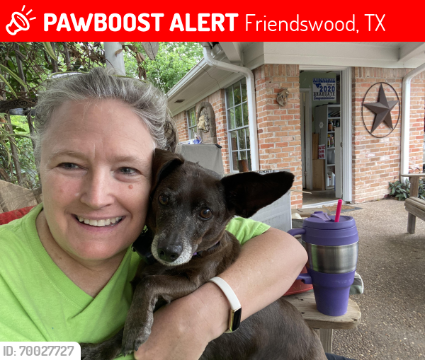 Lost Male Dog last seen Brown and Earlham, Friendswood, TX 77546