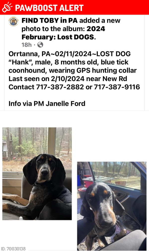 Lost Male Dog last seen Church Rd , Franklin Township, PA 17353
