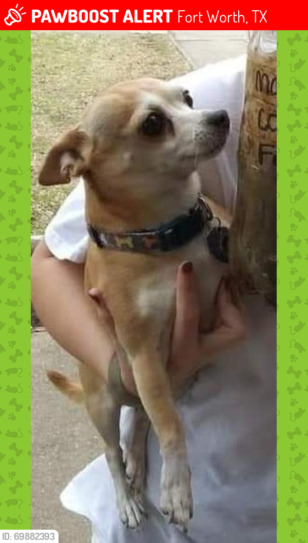Lost Male Dog last seen Rufe Snow and Mid Cities , Fort Worth, TX 76182