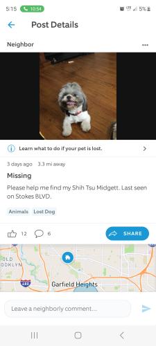 Lost Male Dog last seen Sterns Rd 44106 Cleveland Ohio, Cleveland, OH 44106