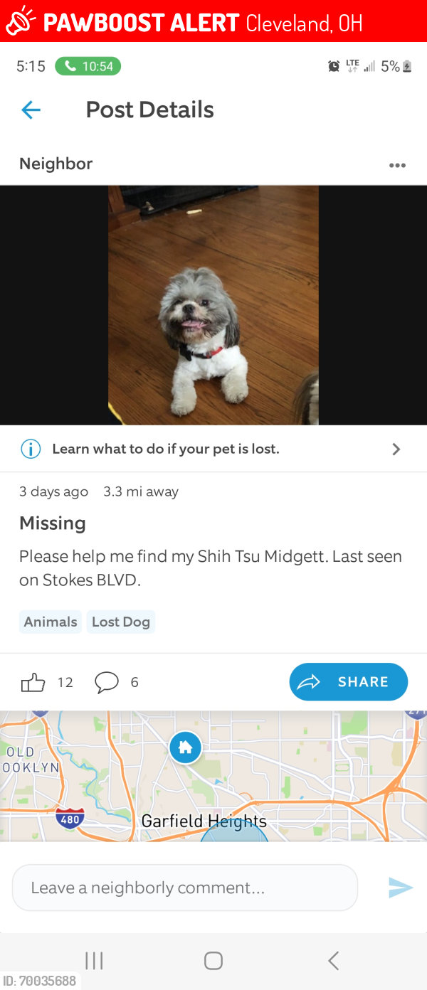 Lost Male Dog last seen Sterns Rd 44106 Cleveland Ohio, Cleveland, OH 44106