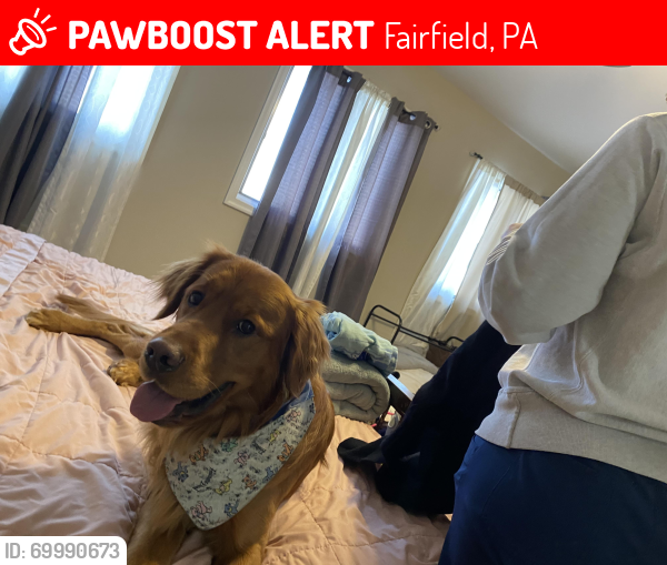 Lost Male Dog last seen Trout run trail , Fairfield, PA 17320