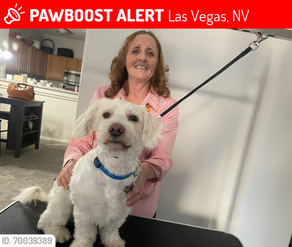 Lost Male Dog last seen Flamingo and Sandhill , Las Vegas, NV 89121