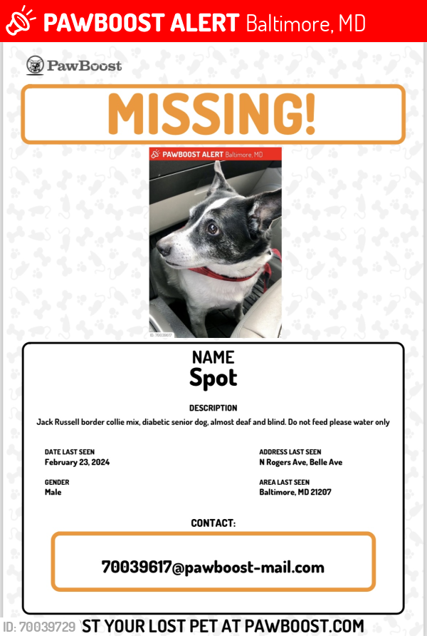 Lost Male Dog last seen Near marmon ave, Baltimore, MD 21207