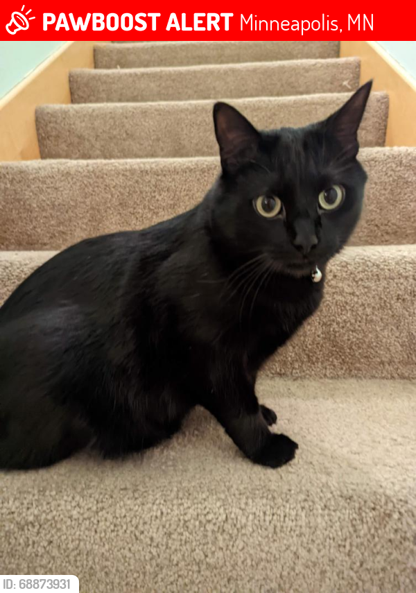 Lost Male Cat last seen 68th and Humboldt, Minneapolis, MN 55423