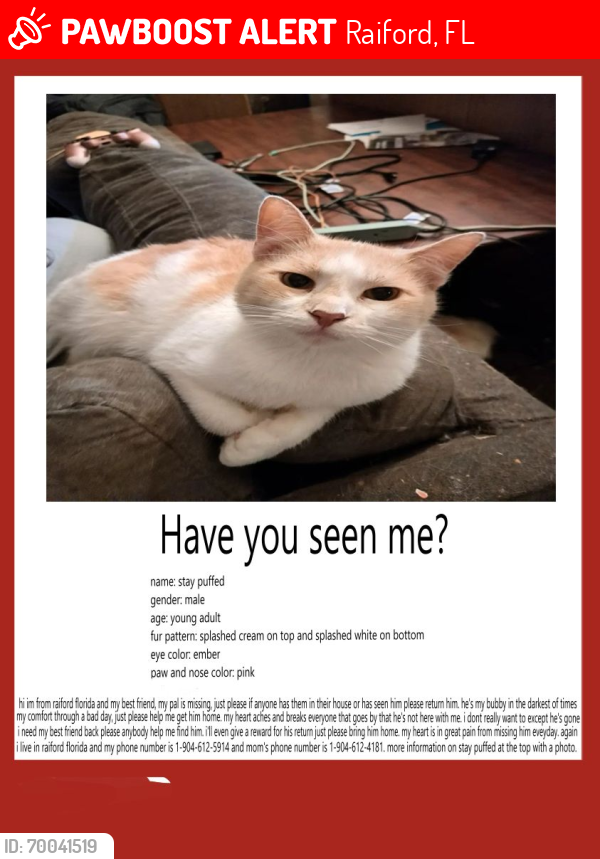 Lost Male Cat last seen Near south county road 229, Raiford, FL 32083