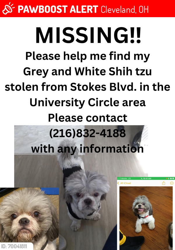 Lost Male Dog last seen Euclid - University Circle , Cleveland, OH 44106