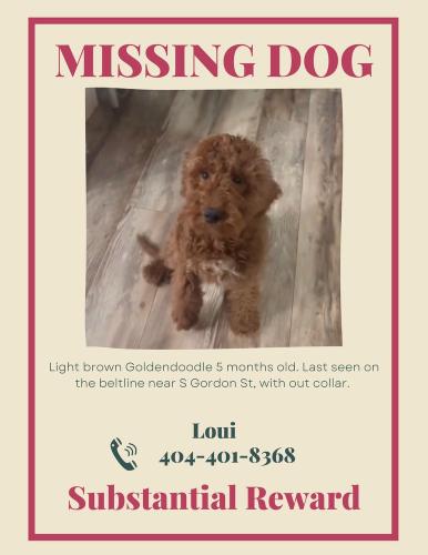 Lost Male Dog last seen South Gordon St. SW and Cascade rd. , Atlanta, GA 30310