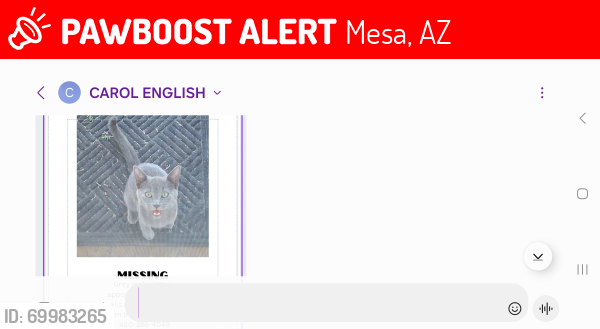 Lost Male Cat last seen University and 88th way, Mesa, AZ 85207