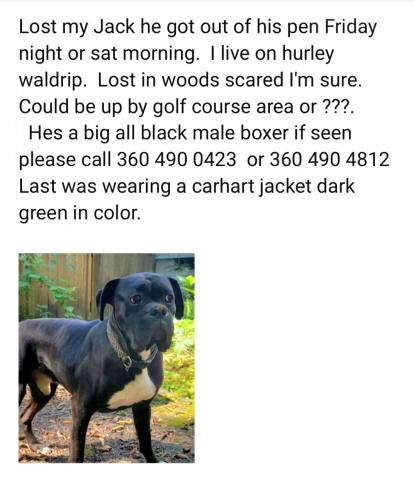Lost Male Dog last seen Hurley Waldrip rd. Or golf course area, Shelton, WA 98584