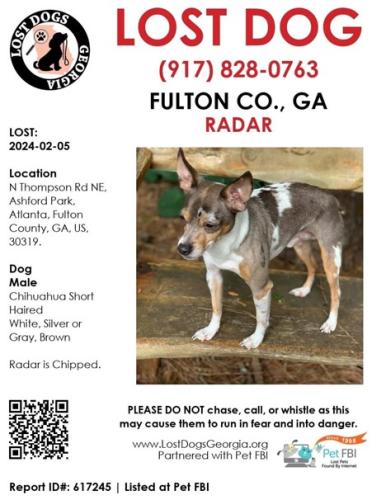 Lost Male Dog last seen N Thompson Brookhaven GA 30319, Atlanta, GA 30319