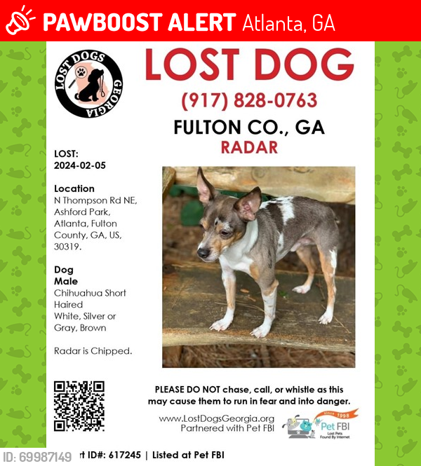 Lost Male Dog last seen N Thompson Brookhaven GA 30319, Atlanta, GA 30319