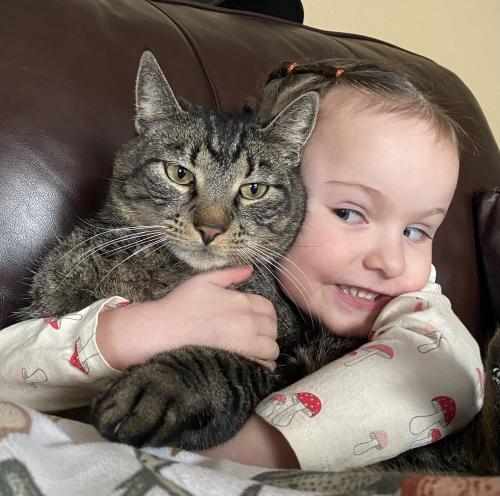 Lost Male Cat last seen  with little free library , Yacolt, WA 98675