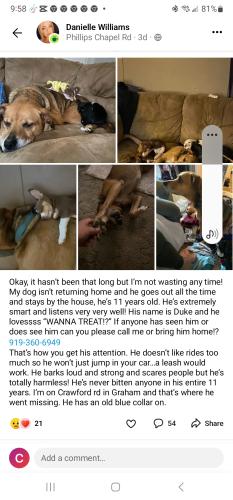 Lost Male Dog last seen Swepsonville,  snow camp, Graham Burlington nc , Graham, NC 27253