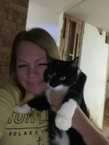 Lost Male Cat last seen 72nd & Division , Grand Rapids, MI 49548