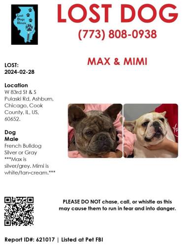 Lost Unknown Dog last seen Halmin sprinfield 83st, Chicago, IL 60652