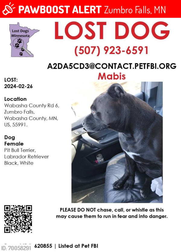 Lost Female Dog last seen Near county road 6 , Zumbro Falls, MN 55991