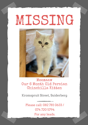 Lost Female Cat last seen Kromspruit Street , Pretoria, GP 0055
