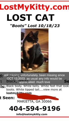 Lost Male Cat last seen Near park place trr, Marietta, GA 30066