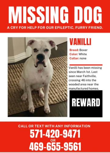 Lost Female Dog last seen Near Faithville, Spring Branch, TX 78070