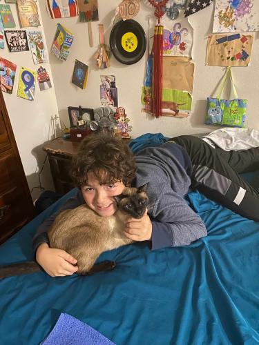 Lost Male Cat last seen Wickham and Parkway, Melbourne, FL 32935