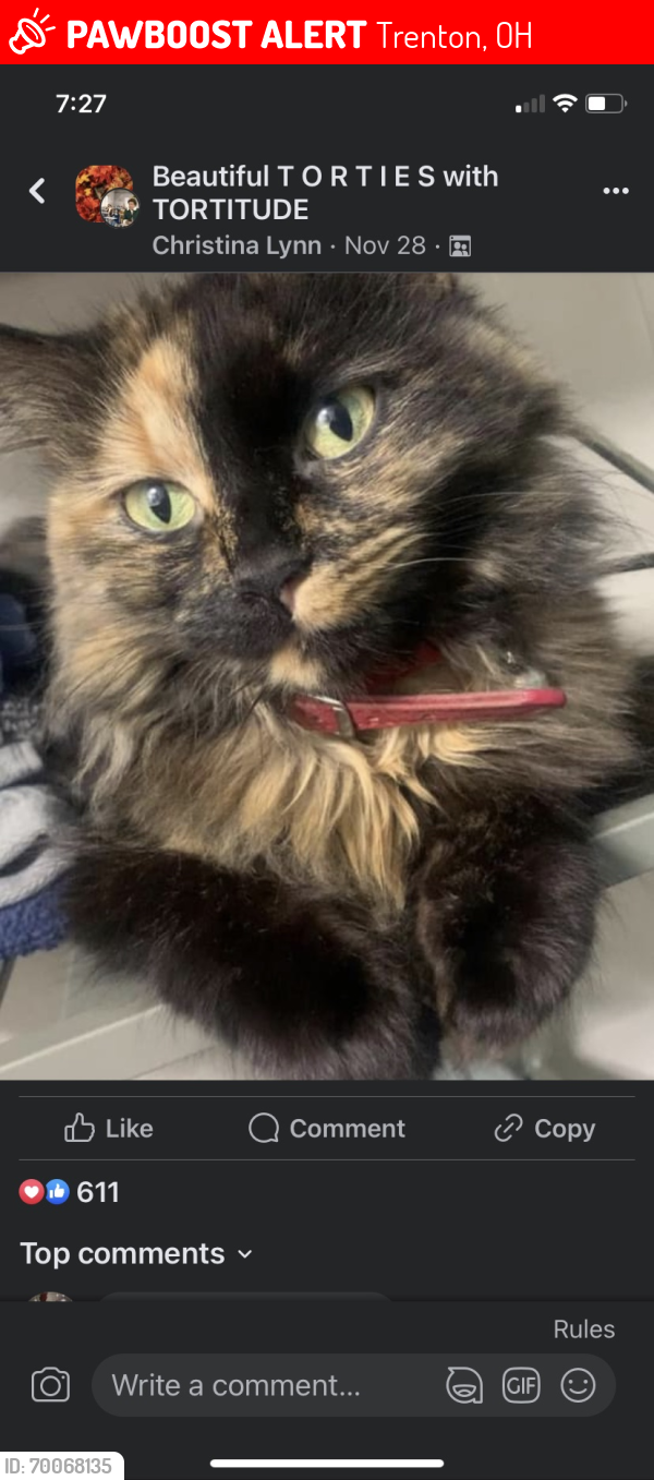 Lost Female Cat last seen Mars and kay drive, Trenton, OH 45067