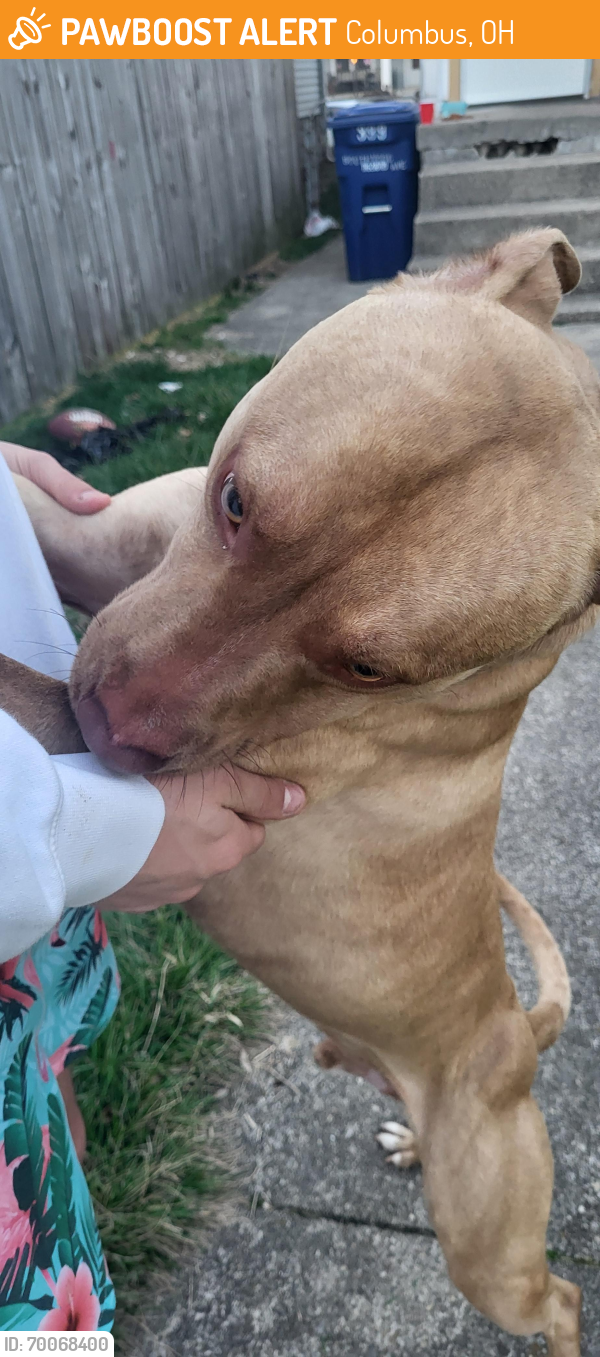 Found/Stray Male Dog last seen Southwood and Parsons, Columbus, OH 43207