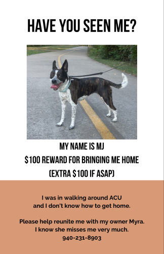 Lost Female Dog last seen ACU , Abilene, TX 79699