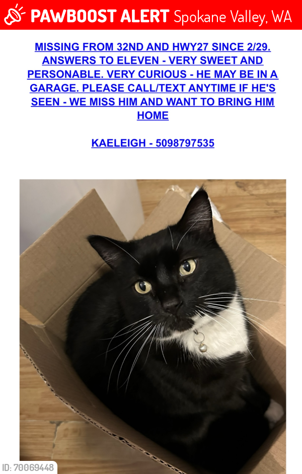 Lost Male Cat last seen 27th and Hwy 27, Spokane Valley, WA 99206