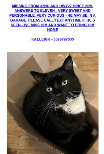 Lost Male Cat last seen 27th and Hwy 27, Spokane Valley, WA 99206