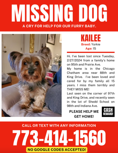Lost Female Dog last seen 96th Prairie/98th Indiana, Chicago, IL 60628
