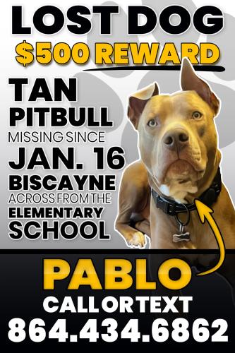 Lost Male Dog last seen Biscayne Blvd/Biscayne Groove Rd, Jacksonville, FL 32218