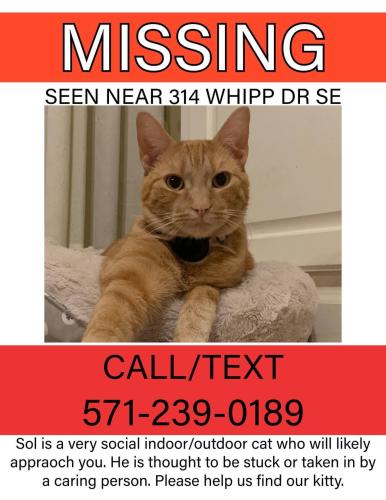Lost Male Cat last seen Whipp Dr and Hope Parkway, Leesburg, VA 20175