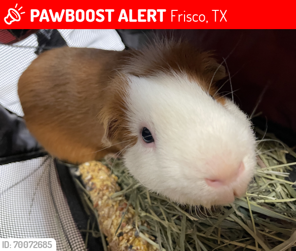 Lost Male Other last seen Frisco Texas, Frisco, TX 75035