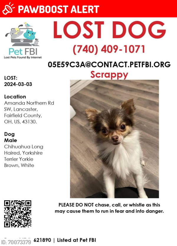 Lost Male Dog last seen Royalton rd lancaster oh, Amanda Township, OH 43102