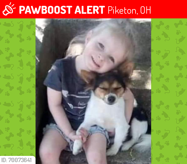 Lost Female Dog last seen Price Lane, Piketon, OH 45661