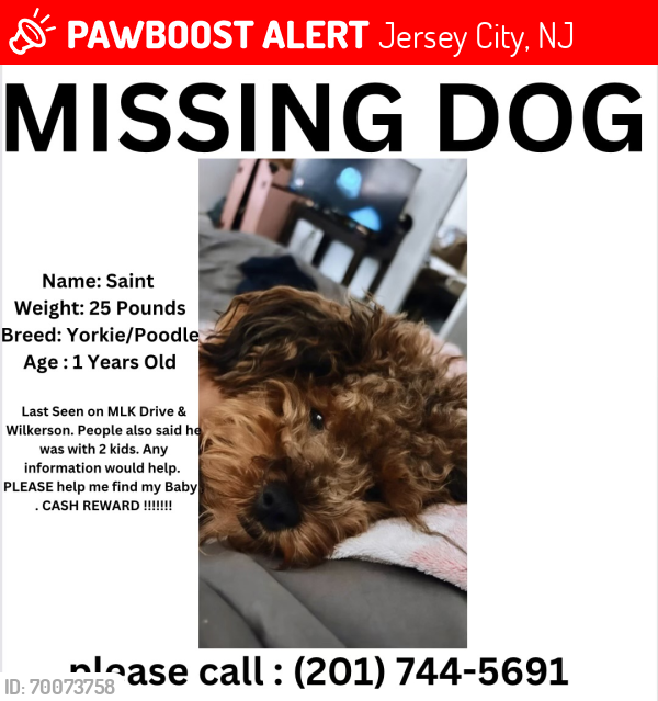 Lost Male Dog last seen Martin Luther king drive , jersey city Nj , Jersey City, NJ 07305