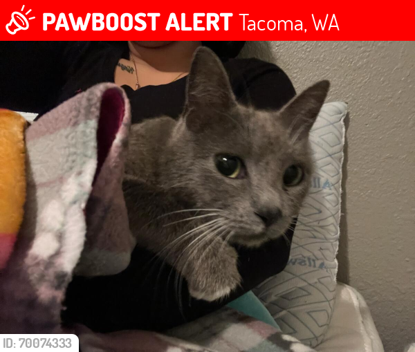 Lost Female Cat last seen Sprinker Recreation Center, Tacoma, WA 98444