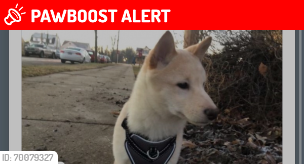 Lost Male Dog last seen Milroad and 101 Milwaukee Wisconsin , South Milwaukee, WI 53172