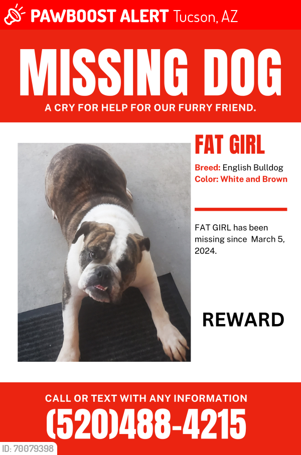 Lost Female Dog last seen Pascua Yaqui Tribe , Tucson, AZ 85757