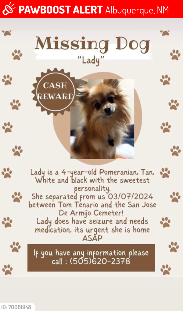 Lost Female Dog last seen Juan Tenorio and San Jose De Armijo Cemetery, Albuquerque, NM 87105