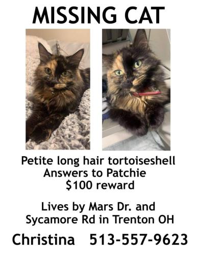 Lost Female Cat last seen Mars drive and sycamore road, Trenton, OH 45067