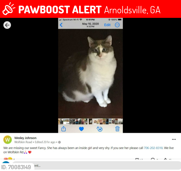 Lost Female Cat last seen Wolfskin Road, Oak Trail, Woflskin Farms, Arnoldsville, GA 30619