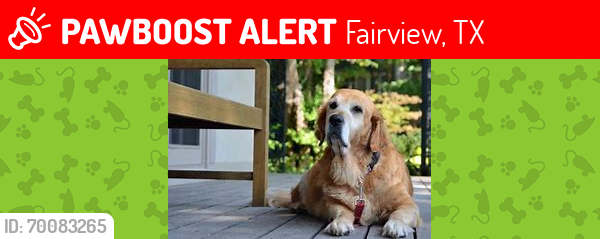 Lost Male Dog last seen Fairview, Texas, Fairview, TX 75069