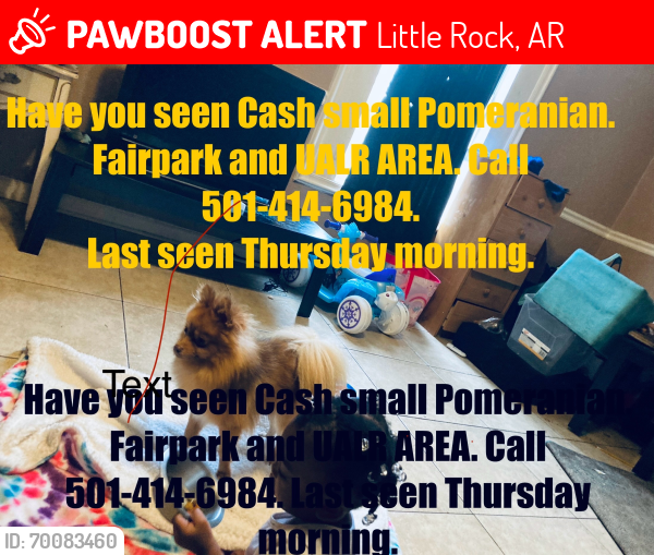 Lost Male Dog last seen UALR, Little Rock, AR 72204
