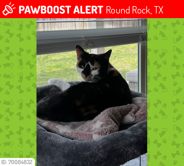 Lost Female Cat last seen Alvarado Dr and Glenn Dr, Round Rock, TX, Round Rock, TX 78664