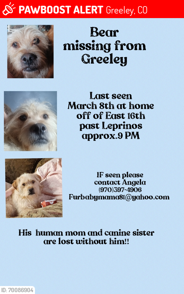 Lost Male Dog last seen Birch Ave and east 16th st., Greeley, CO 80631