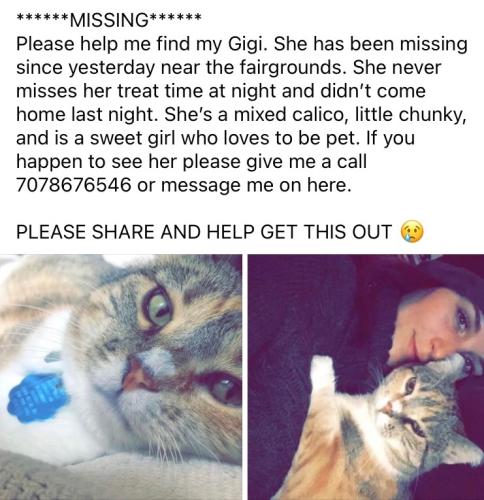 Lost Female Cat last seen Brookwood, Santa Rosa, CA 95404