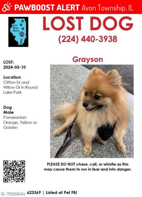 Lost Male Dog last seen Clifton DR Round Lake Park IL 60073, Avon Township, IL 60073